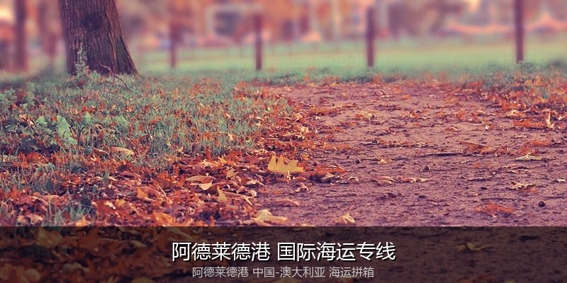 澳大利亚海运专线时效对比与选择指南